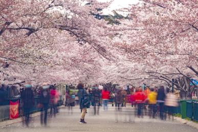 中山公園相關旅游線路