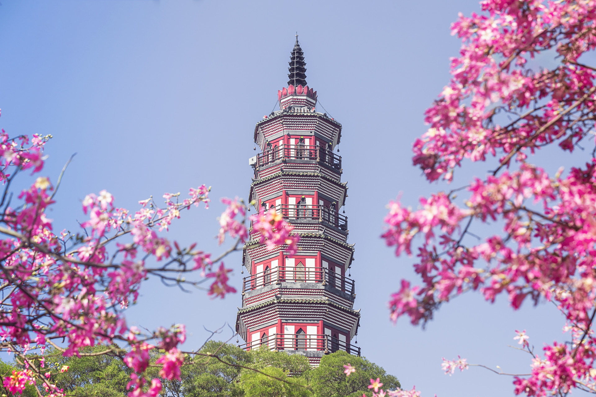 順峰山公園封面圖