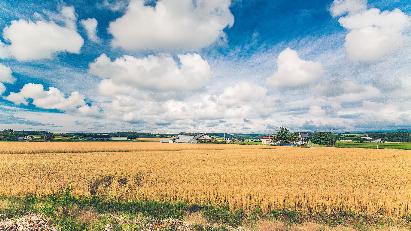 景點(diǎn)：北海道