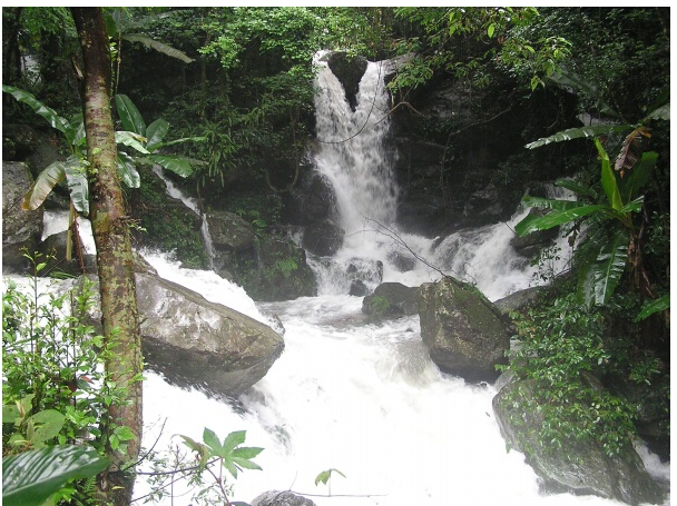 野趣溝風景區(qū)封面圖