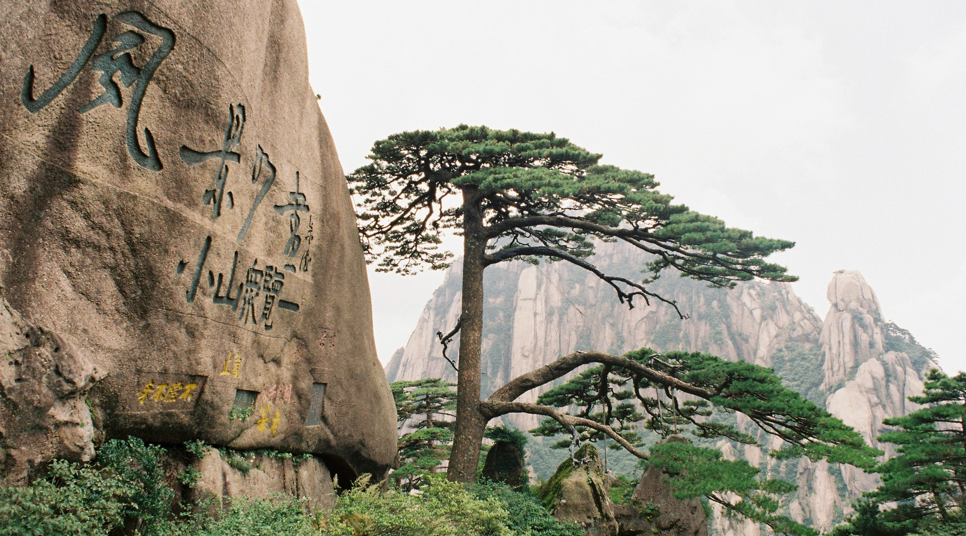 黃山迎客松封面圖