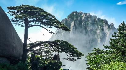 景點：黃山迎客松