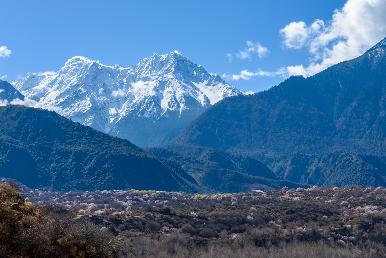 景點：林芝雪山