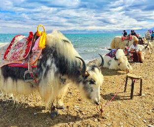 茶卡鹽湖小火車相關(guān)旅游線路