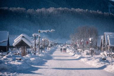 景點(diǎn)：禾木雪景