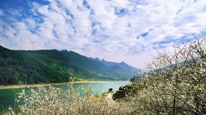 流溪河森林公園花海圖1封面圖