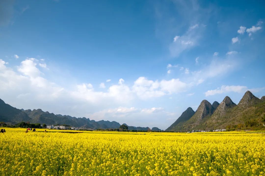 萬(wàn)峰林封面圖